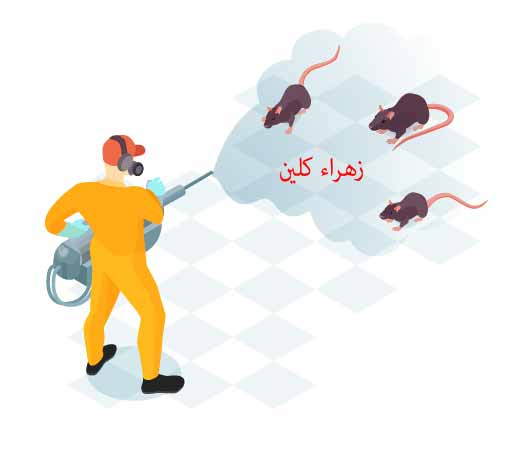  شركة مكافحة حشرات بجده