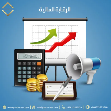 الرقابة المالية في السعودية