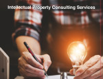 Intellectual Property Consulting Services