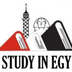 مدونة الدراسة في مصر