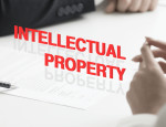 IP Legal Services