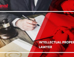 Intellectual Property Lawyer