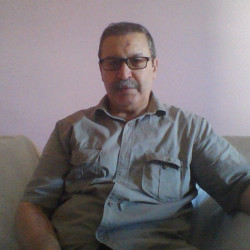محمد نجيب