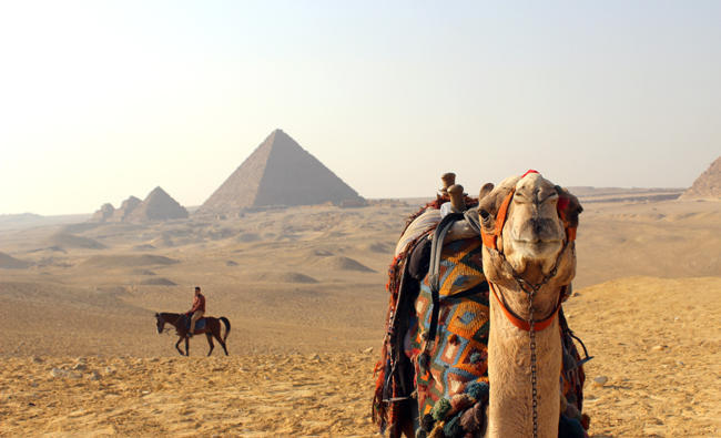 Excursions In Egypt