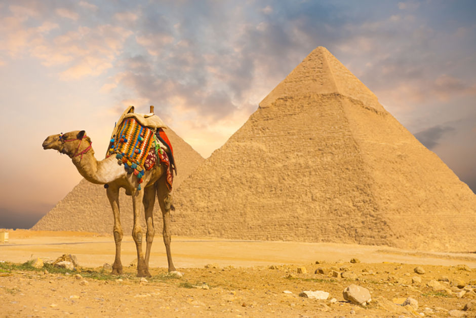 best price excursions in Egypt